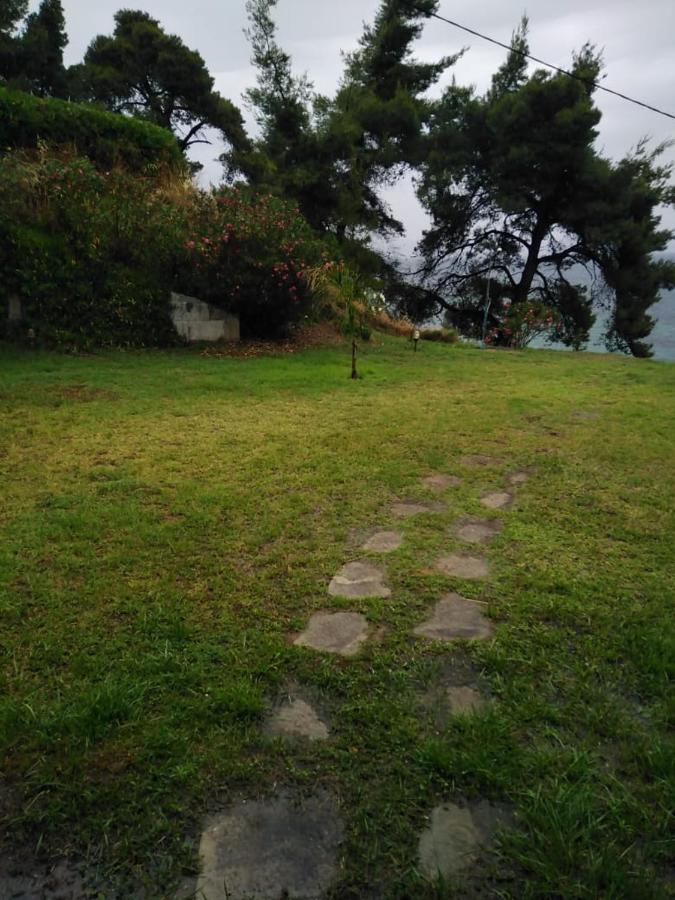 Sangue Blu Beachfront Villa Apartment อาโยส นิโกลาออส ภายนอก รูปภาพ