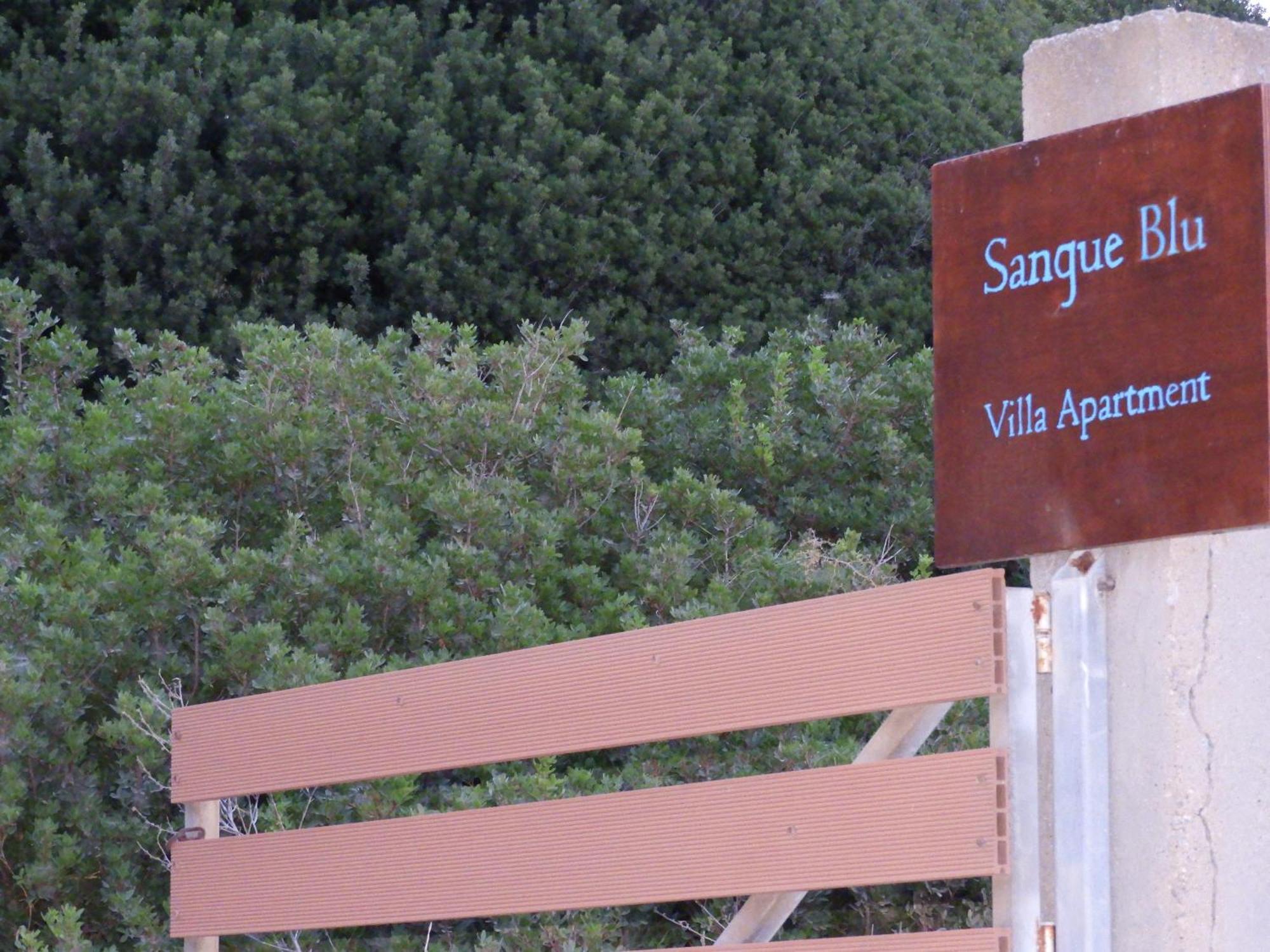 Sangue Blu Beachfront Villa Apartment อาโยส นิโกลาออส ภายนอก รูปภาพ
