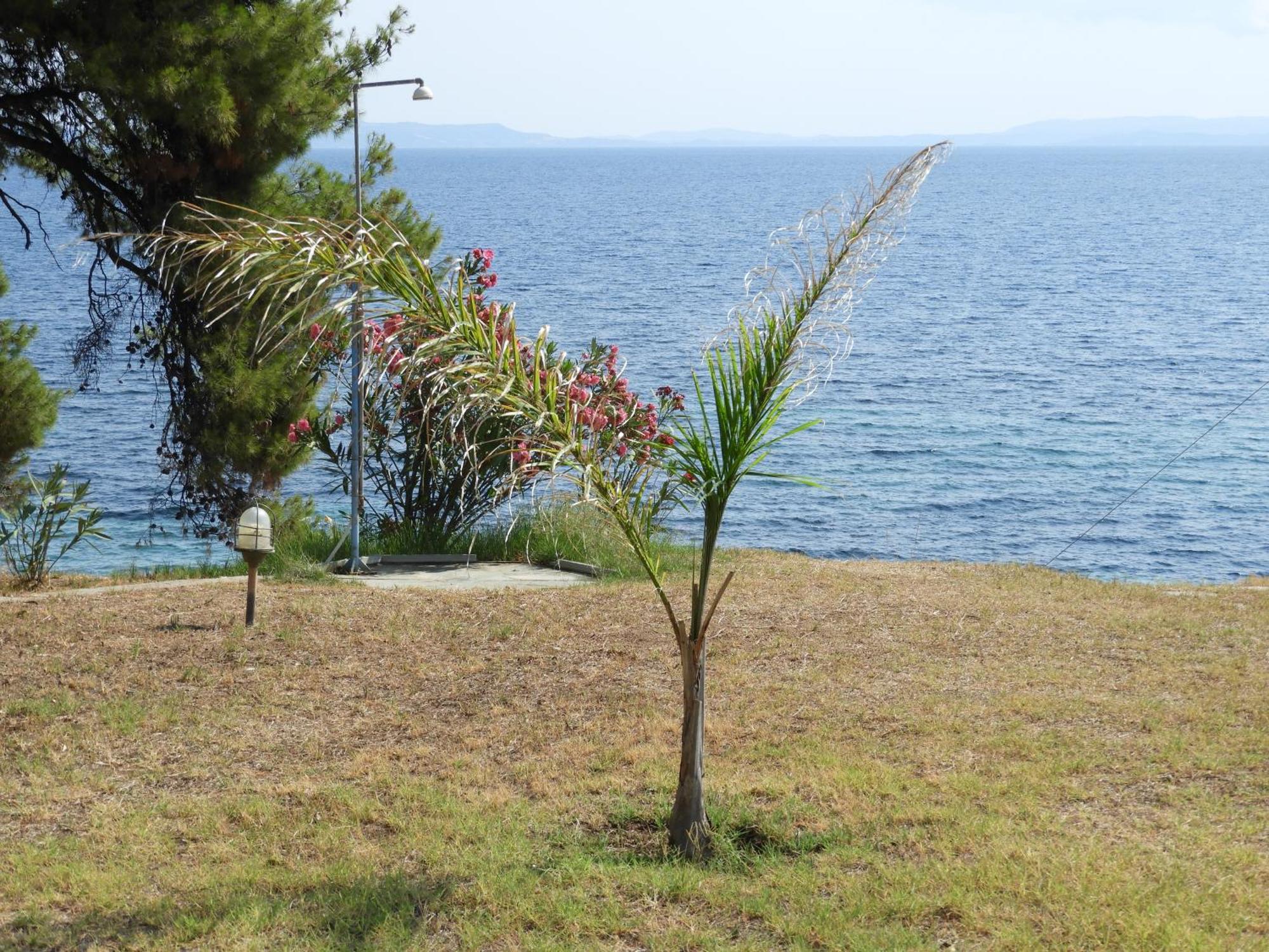 Sangue Blu Beachfront Villa Apartment อาโยส นิโกลาออส ภายนอก รูปภาพ